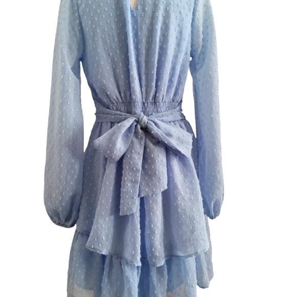 JOPNA light blue dot swiss, long sleeve, tiered, lined mini dress. - Picture 3 of 5